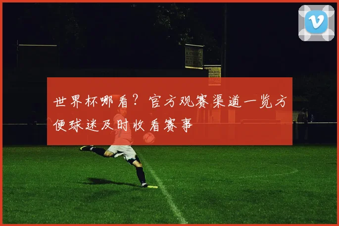 世界杯哪看？官方观赛渠道一览方便球迷及时收看赛事