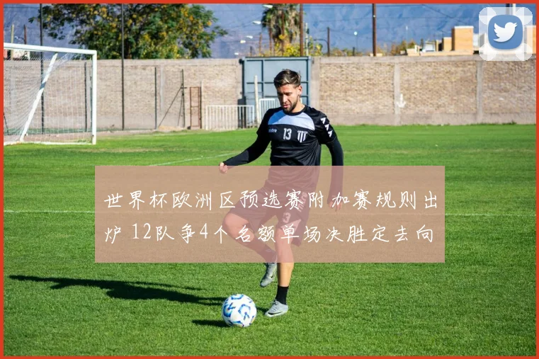 世界杯欧洲区预选赛附加赛规则出炉 12队争4个名额单场决胜定去向