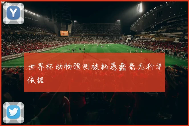 世界杯动物预测被批愚蠢毫无科学依据